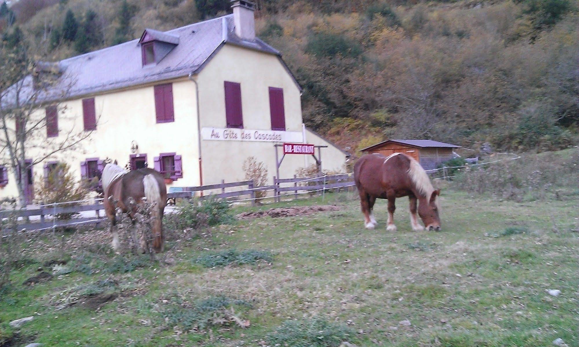 Gite Auberge Les Cascades 拉姆吉 外观 照片